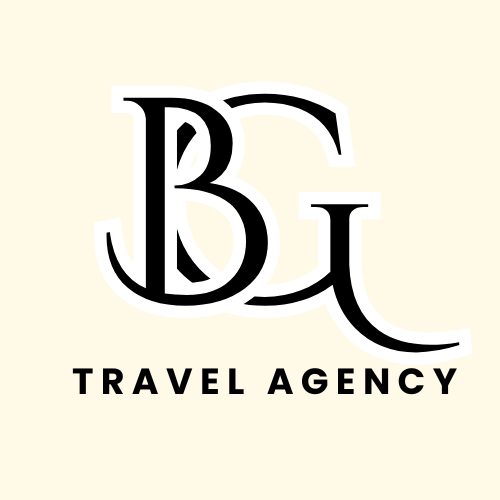 bravinoglobal.com